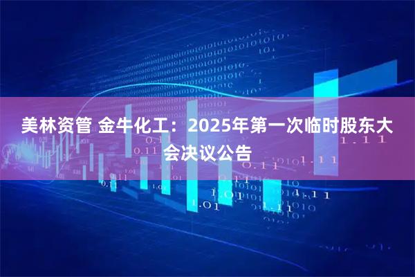 美林资管 金牛化工：2025年第一次临时股东大会决议公告