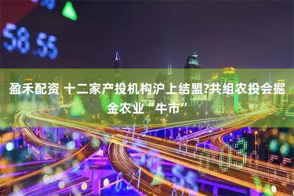 盈禾配资 十二家产投机构沪上结盟?共组农投会掘金农业“牛市”